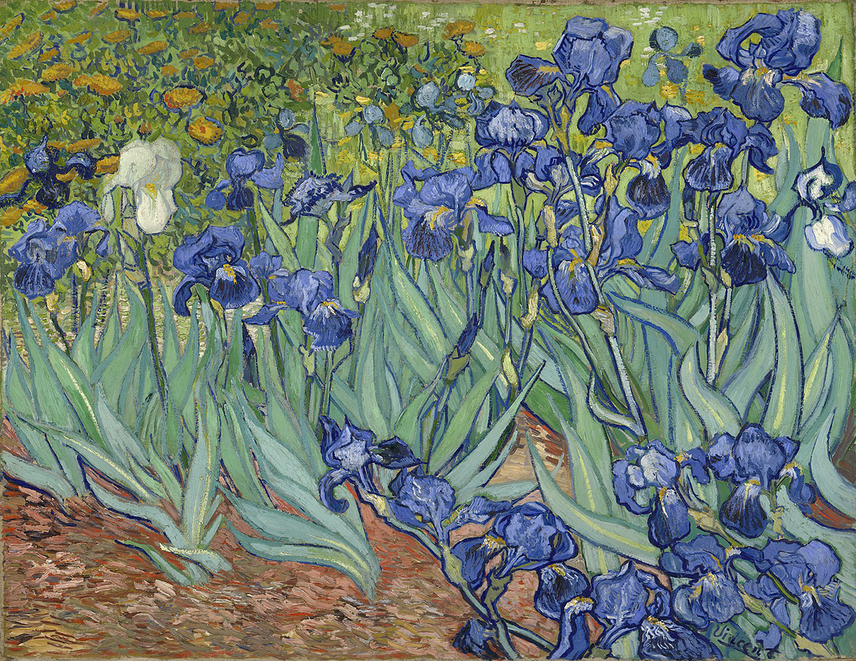 Post-Impressionism work by Vincent van Gogh Irises from 1889