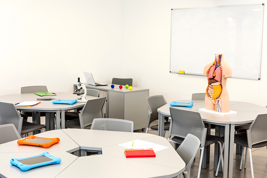 Modern classroom interior, with round tables. Anatomy model and